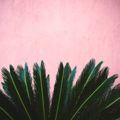 Sullivan Kruse's photo