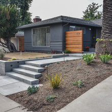Front yard