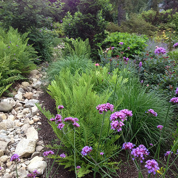 Dry River Bed