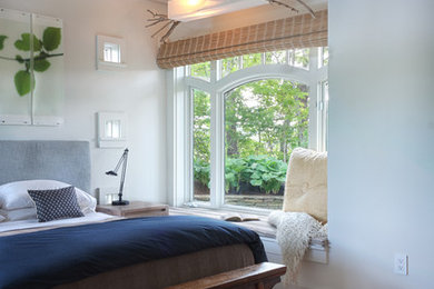 Bedroom - transitional bedroom idea in Boston