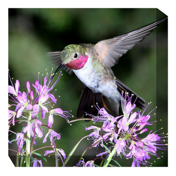 Hummingbird 1 Outdoor Art