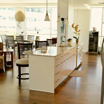 Lincoln Street: Denver Downtown Loft