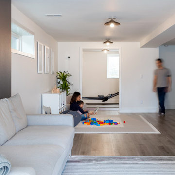 Magnolia Basement Remodel