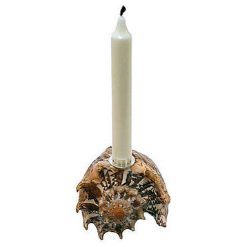Imperial Volute Shell Taper Candle Holder with Sterling Silver