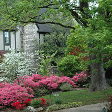 Front Landscaping