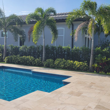 Parkland Modern Tropical Backyard with Palm Trees & Turf
