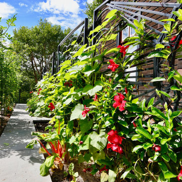 Brookline Edible Garden Paradise