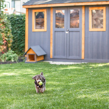 Modern Backyard Retreat - Lawrence Manor