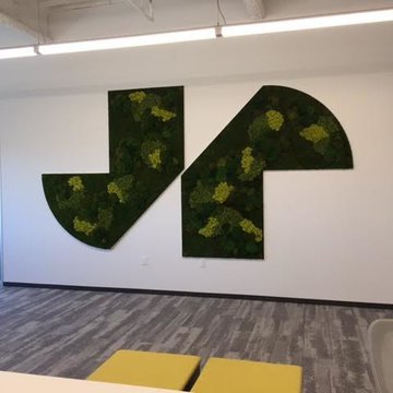 Project Gallery