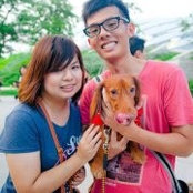 Vincent Sng's photo