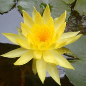 Siddarth Sekhar's photo