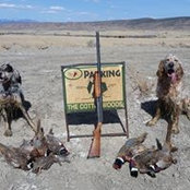 Steve Ostberg's photo