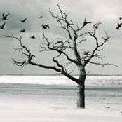 Heidi Thornton's photo