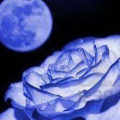 Judi Gladden's photo