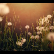 Michelle Bryson's photo