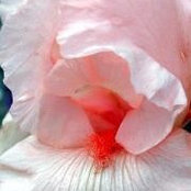 Foto von Sallie Bow