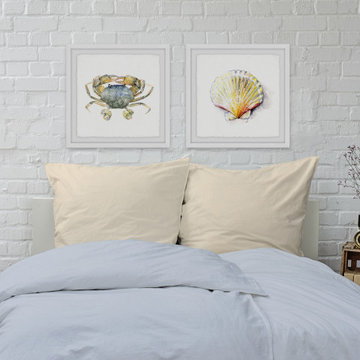 Crab and Sea Shell Diptych