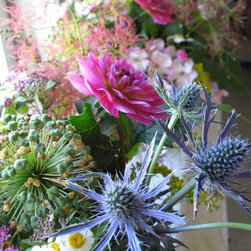 Flora Verdura - Products