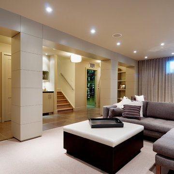 Elboya Modern Basement Renovation