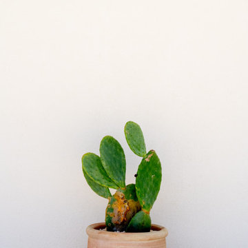 HouseP02/Odette Villa Luxrury