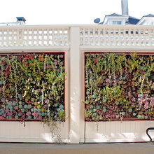 Garden Ideas
