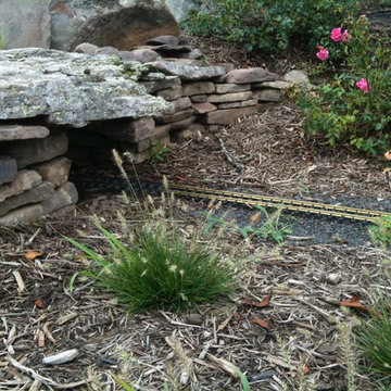 Train Garden