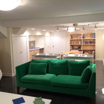 Contemporary Basement