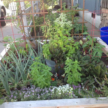 Vegetable & Herb Gardens
