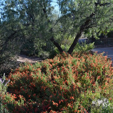 entrance garden
