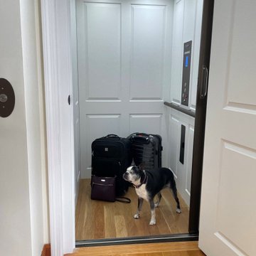 Doggie-vator