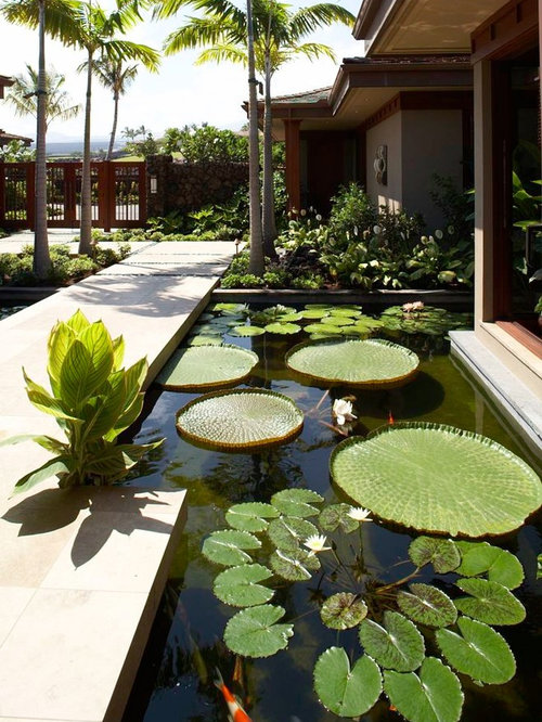 Artificial Pond Houzz