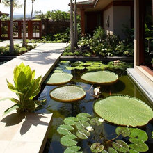 Pond