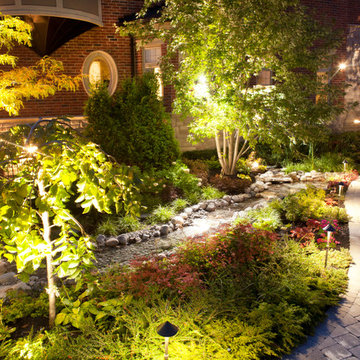 Backyard Rainforest & Garden