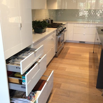 Modern IKEA Kitchen in Colorado Craftsman Home