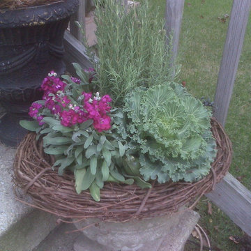 Container Gardens