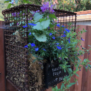 Sideyard Transformation Before & After