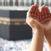Passant Ibrahims billede