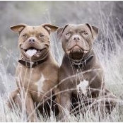 Jarrett Williams's photo