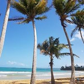 Foto von Marie Negron
