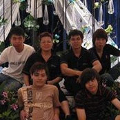 Ronce Roy's photo
