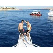 Ahmad Nader's photo
