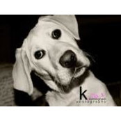 Angela Stahler's photo