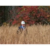 David Wright's photo