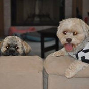 Kristie Didier's photo