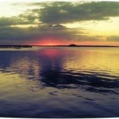Kay Johncox's photo