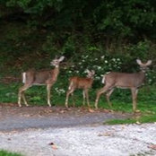 Don Clements's photo