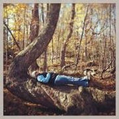 Kim Shilton's photo