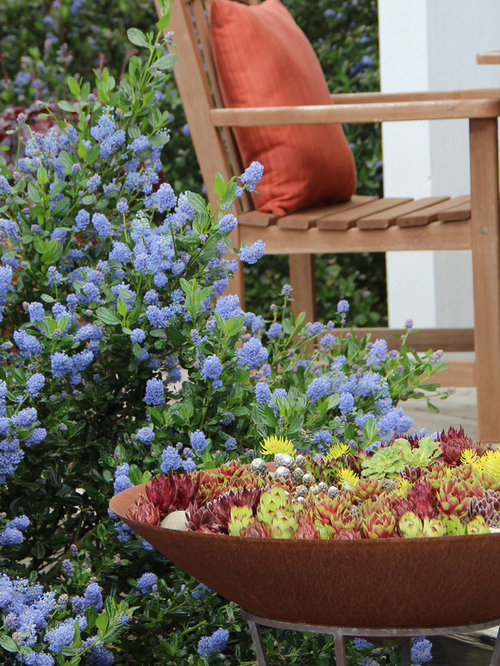 Our 11 Best Seattle Landscaping Ideas & Remodeling Photos ...