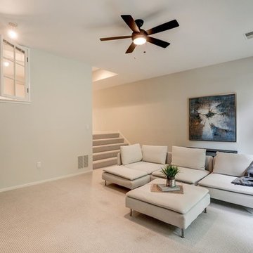 Turtle Pond Staging