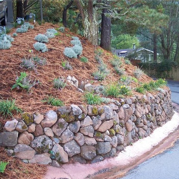 Landscape Design & Installation